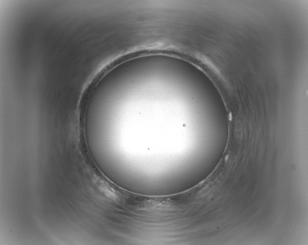 X0000068731270200605051449