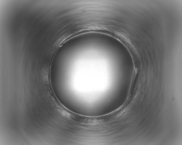 X0000068731273200605051449