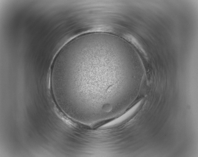 X0000068731276200605051449