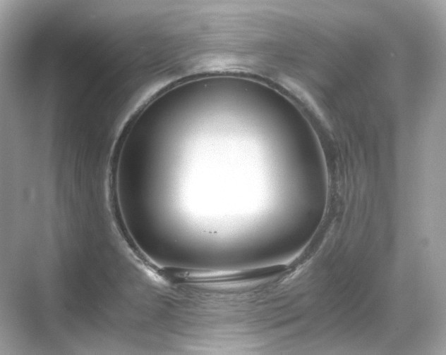 X0000068731277200605051449