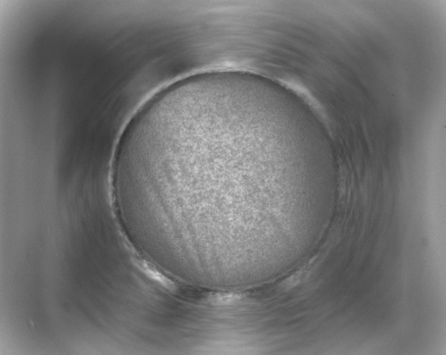 X0000068731278200605051449