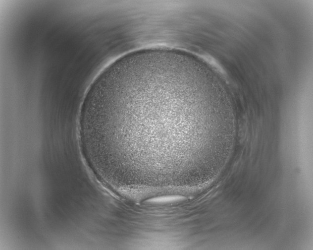 X0000068731279200605051449