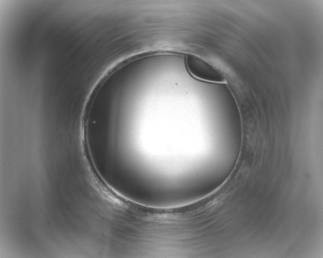 X0000068731280200605051449