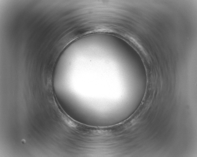 X0000068731281200605051449