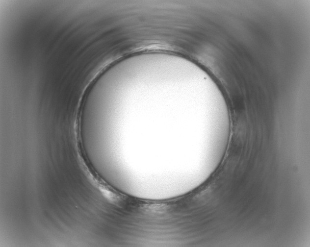 X0000068731282200605051449