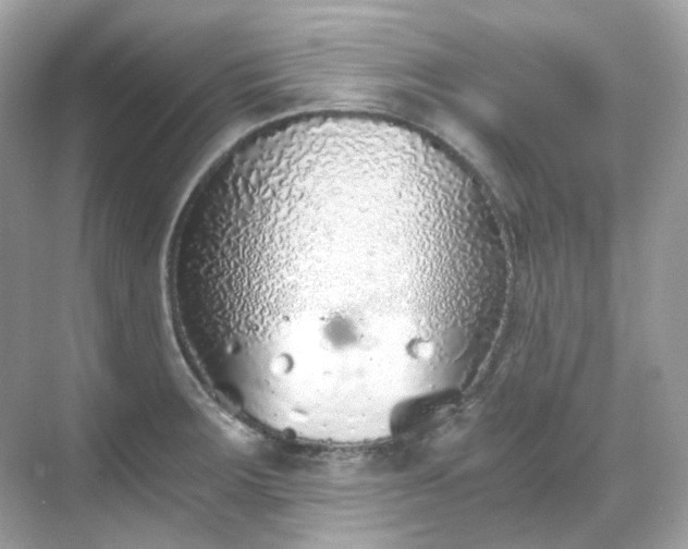 X0000068731283200605051449