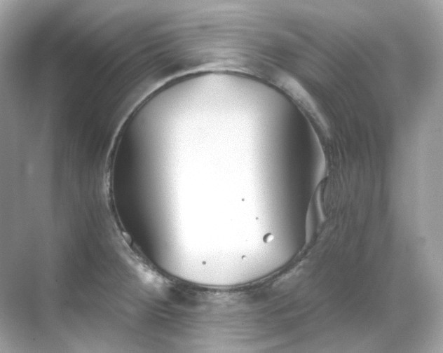 X0000068731284200605051449