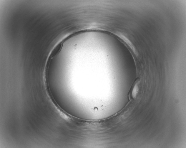 X0000068731285200605051449