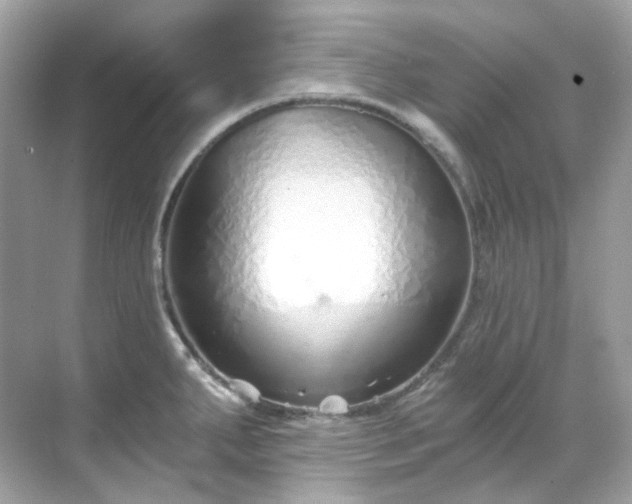 X0000068731287200605051449