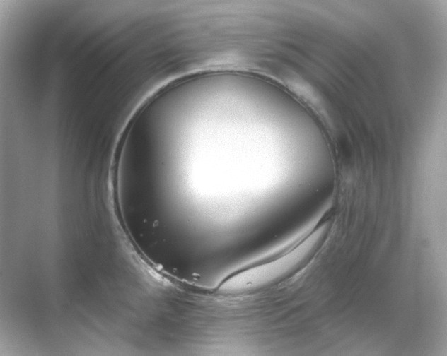 X0000068731288200605051449