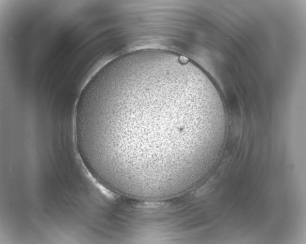 X0000068731290200605051449