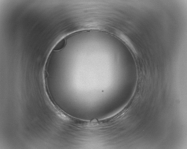 X0000068731291200605051449