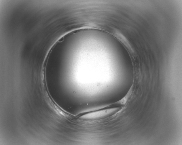 X0000068731292200605051449