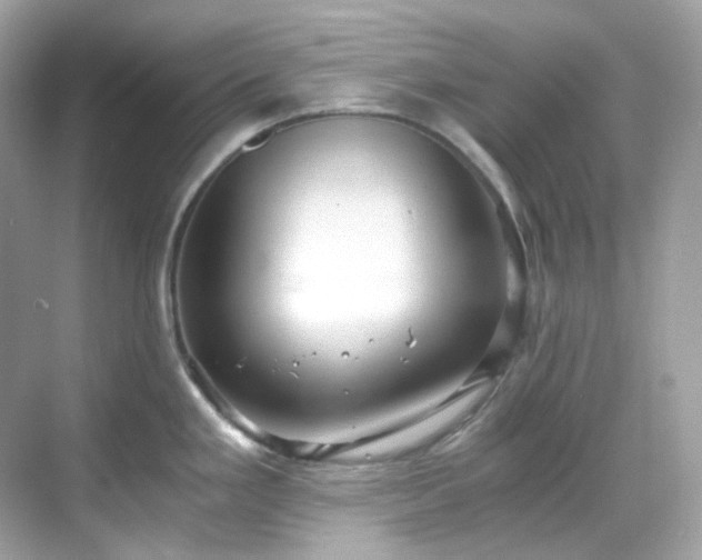 X0000068731293200605051449