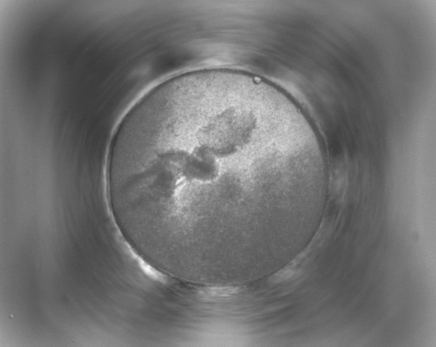 X0000068731294200605051449