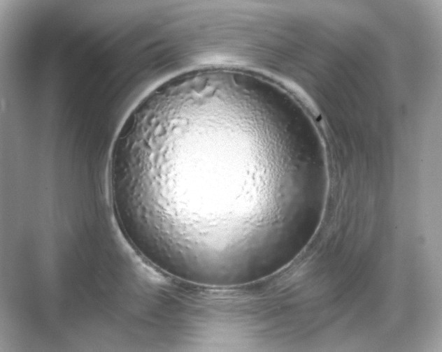 X0000068731295200605051449