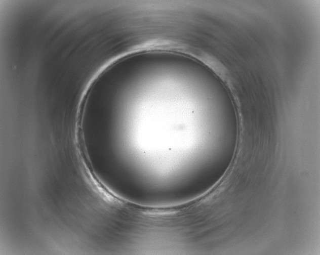 X0000068731296200605051449