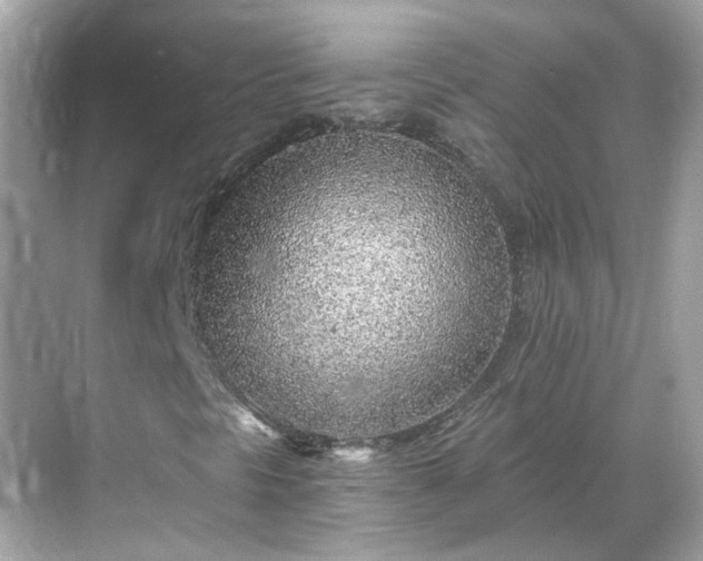 X0000068731297200605051448