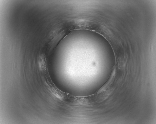 X0000068731298200605051448