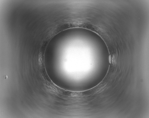 X0000068731299200605051448