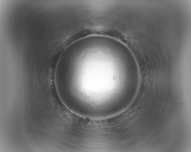 X0000068731301200605051448