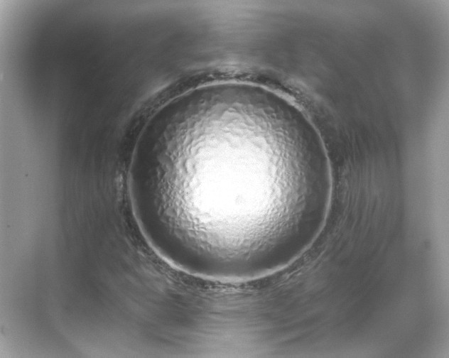 X0000068731302200605051448