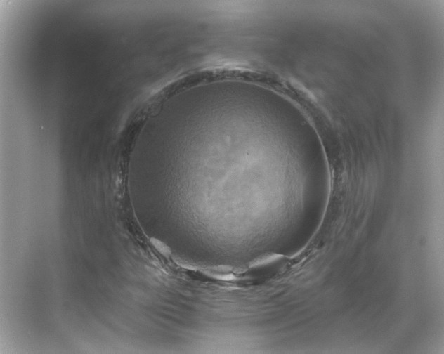 X0000068731303200605051448