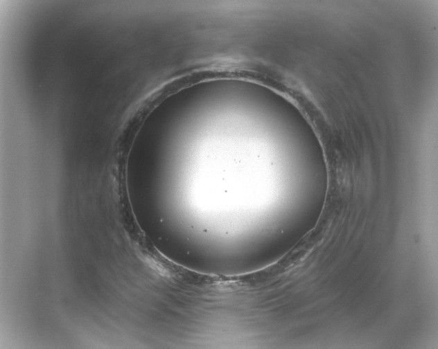 X0000068731304200605051448