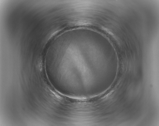 X0000068731306200605051448