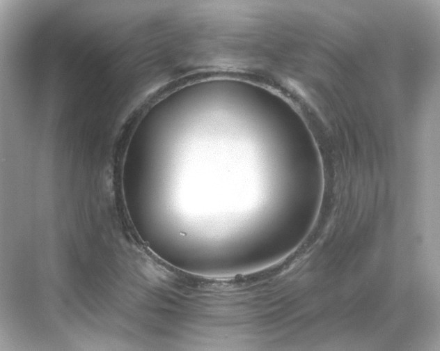 X0000068731307200605051448