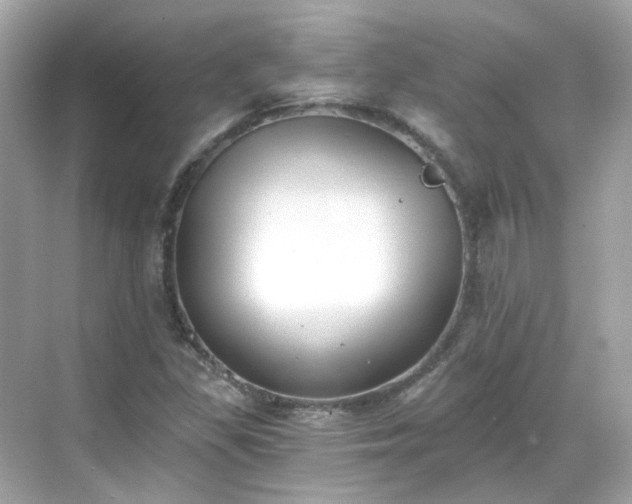 X0000068731309200605051448