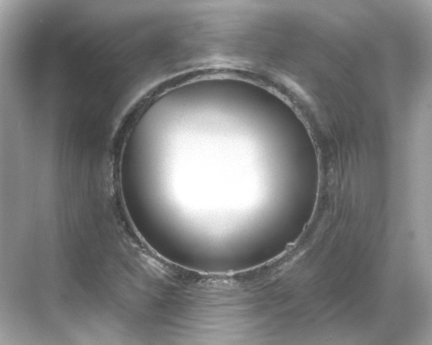 X0000068731310200605051448