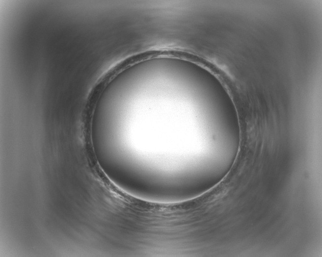 X0000068731311200605051448