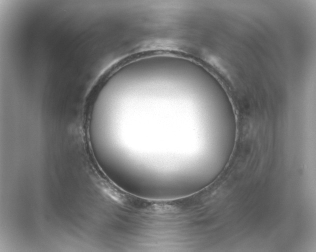 X0000068731312200605051448