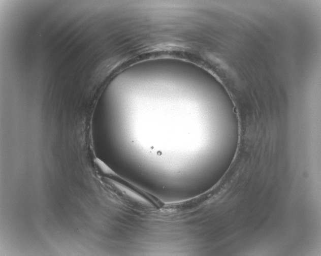 X0000068731313200605051449