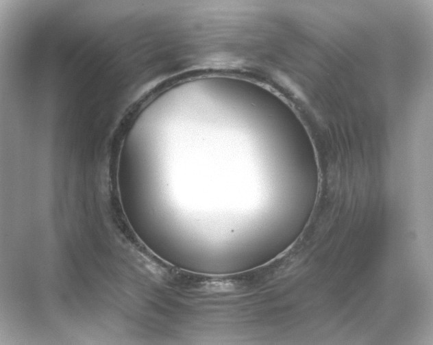 X0000068731315200605051449