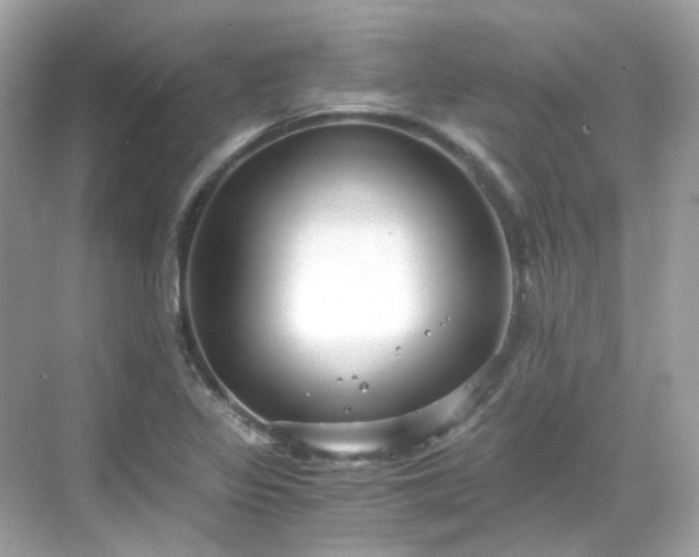 X0000068731317200605051449