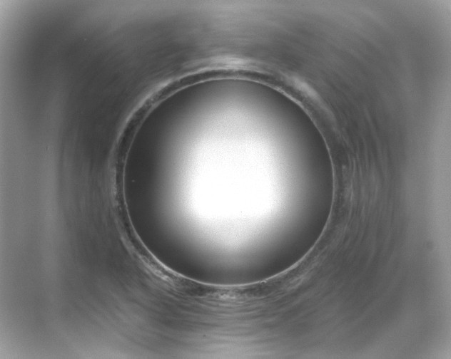 X0000068731318200605051449