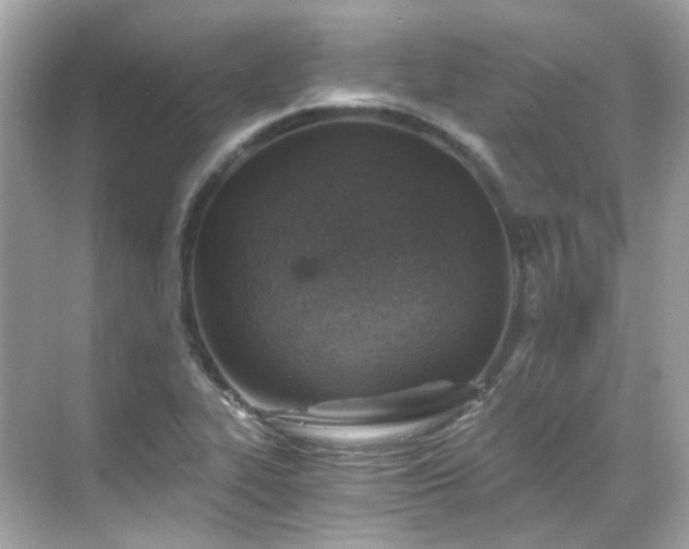 X0000068731319200605051449