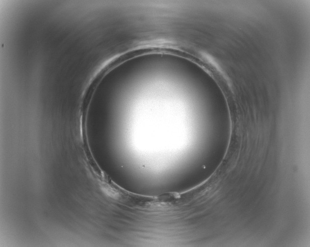 X0000068731320200605051449