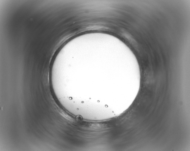 X0000068731322200605051449