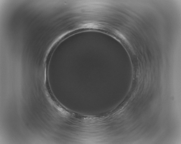 X0000068731323200605051449