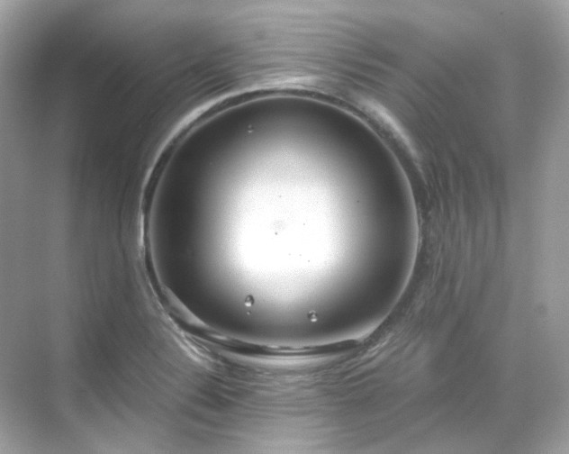 X0000068731324200605051449