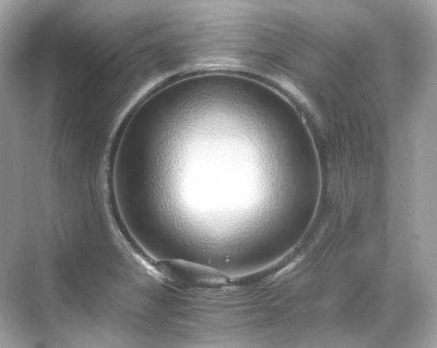 X0000068731325200605051449