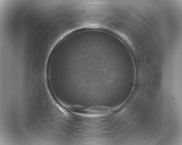 X0000068731327200605051449