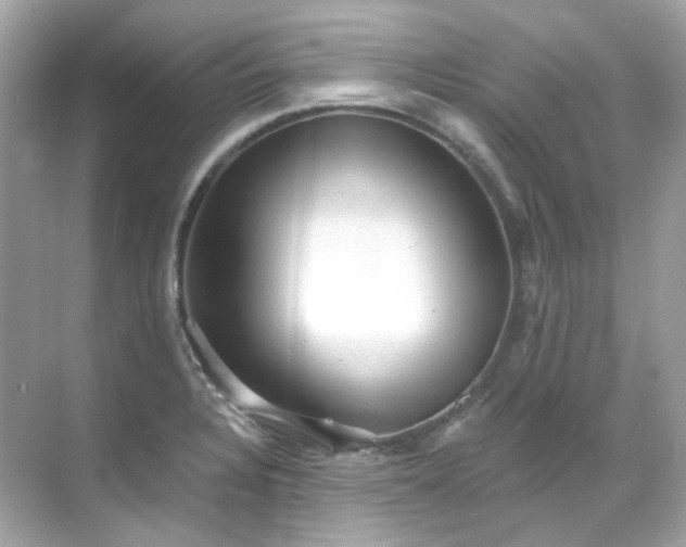 X0000068731328200605051449