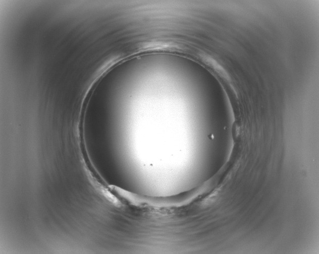 X0000068731330200605051449