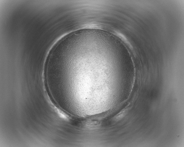 X0000068731331200605051449