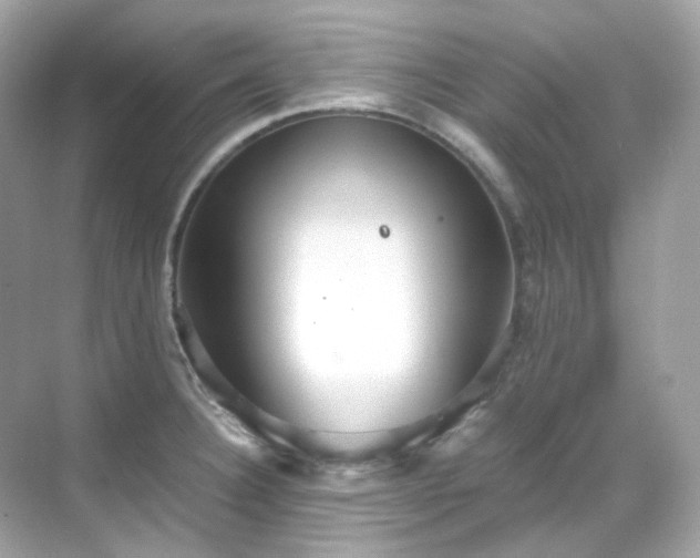 X0000068731332200605051449