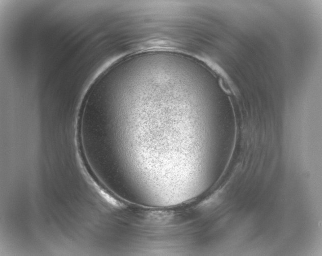 X0000068731333200605051449